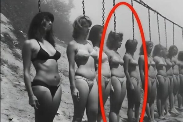 You Won’t Believe Your Eyes: The Photo That Revealed Something Absolutely Shocking!